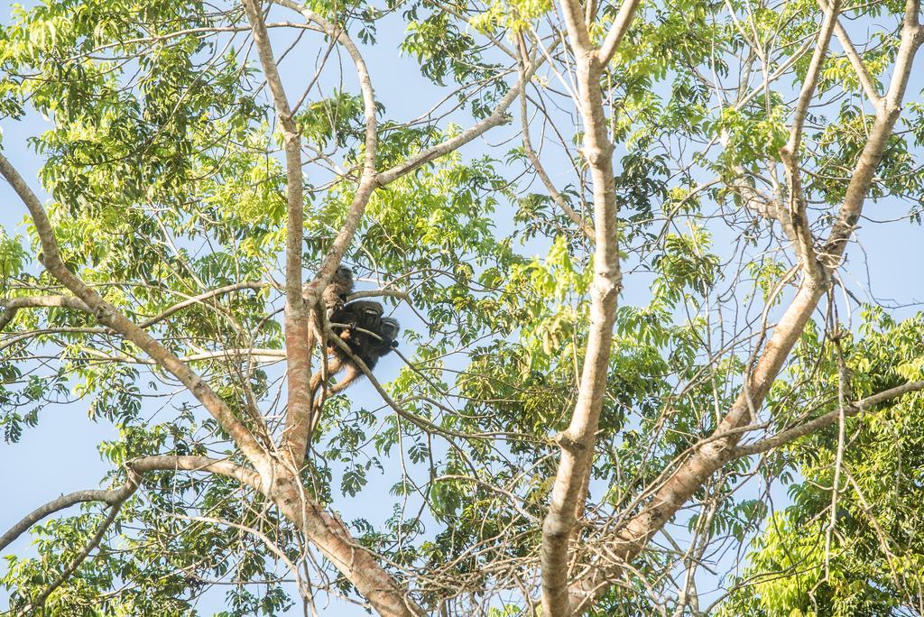 Pousada Vila Flor Da Mata トランコーゾ エクステリア 写真