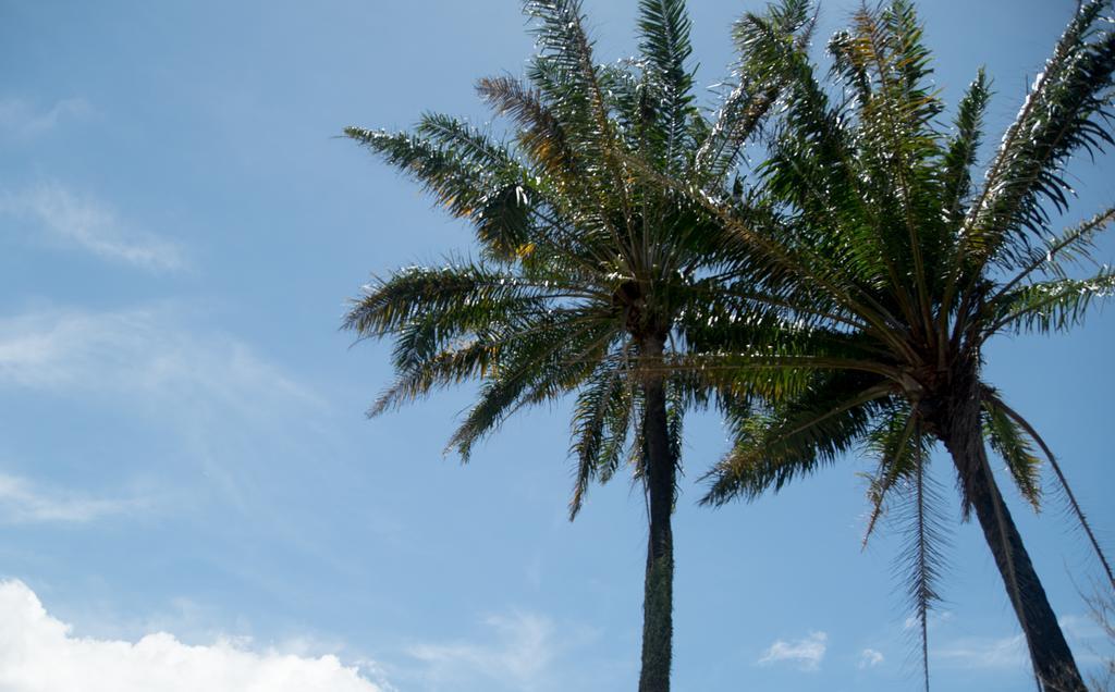 Pousada Vila Flor Da Mata トランコーゾ エクステリア 写真